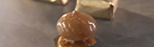 MARRONS GLACÉS