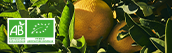 FRUITS CONFITS BIO